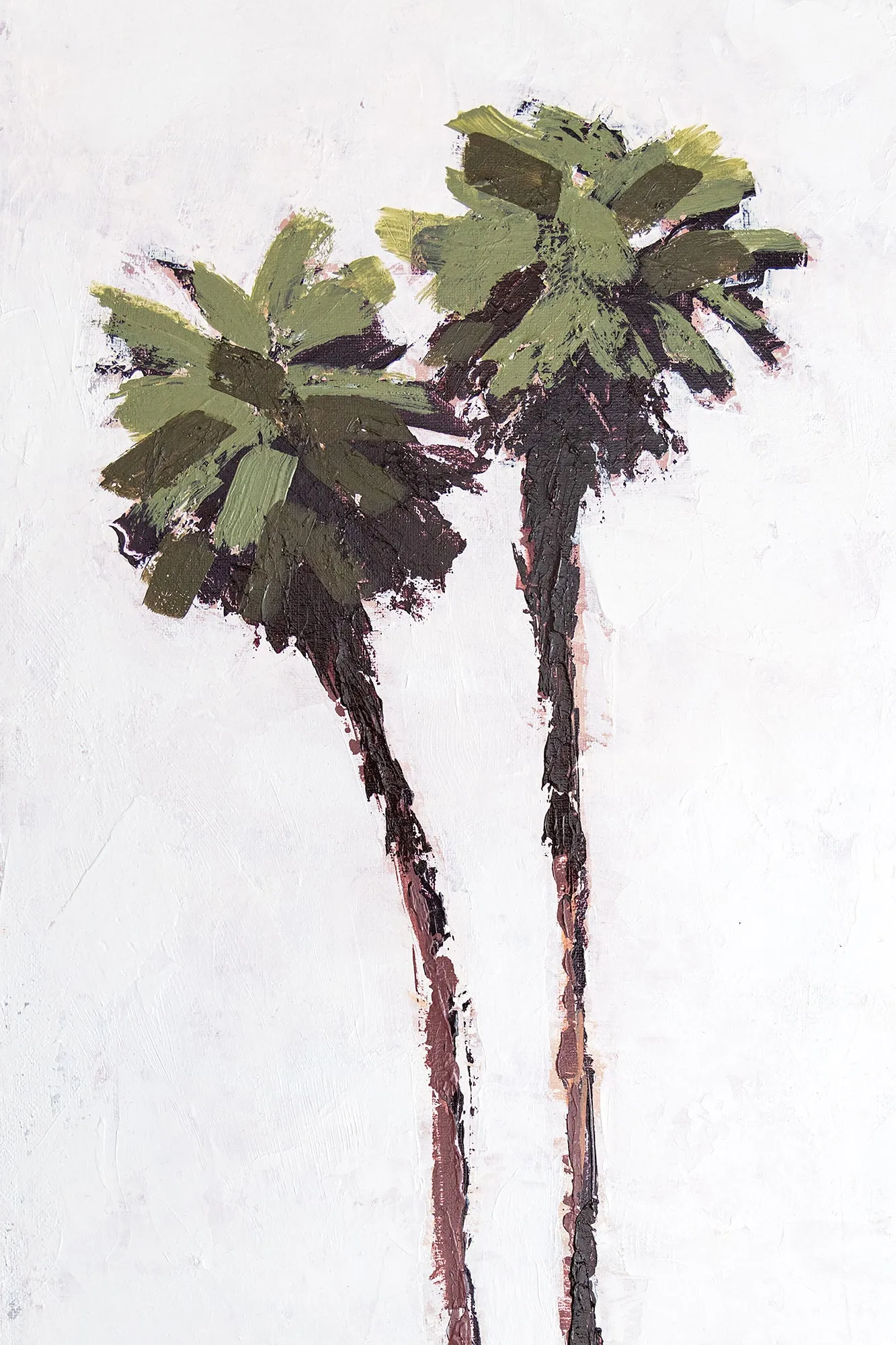 Palms